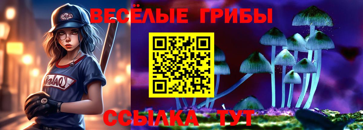 Псилоцибиновые грибы мухоморы Кировск