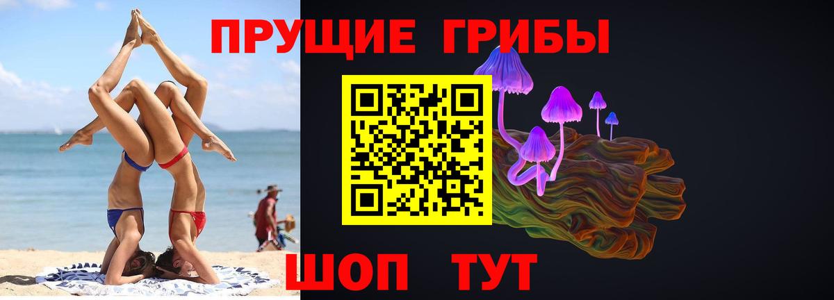 Галлюциногенные грибы Psilocybe  купить наркотик  Вход с VPN  Кировск  Псилоцибиновые грибы Cubensis 
